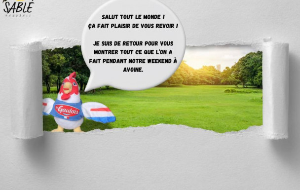 Retour sur  Avoine avec Cocotte 